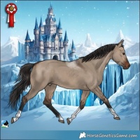 Horse Color:Brown Dun Tobiano 