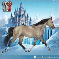 Horse Color:Brown Dun Tobiano 