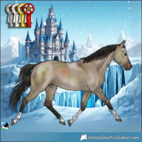 Horse Color:Brown Dun Tobiano 