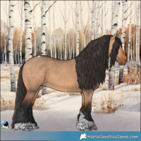 Horse Color:Bay Dun Tobiano