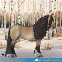 Horse Color:Bay Dun Tobiano