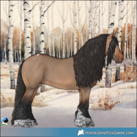 Horse Color:Bay Dun Tobiano 