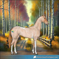 Horse Color:Red Roan Tobiano 