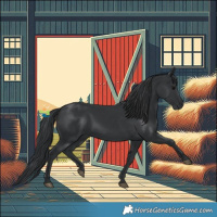Horse Color:Black 