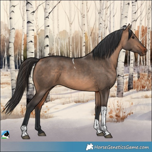 Horse Color:Brown Dun Tobiano 