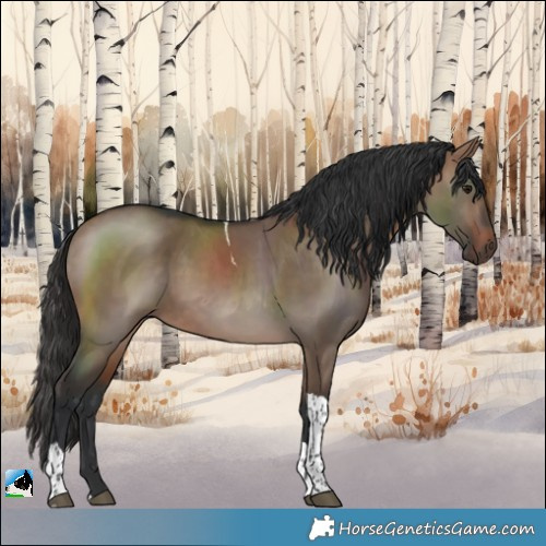 Horse Color:Brown Dun Tobiano 