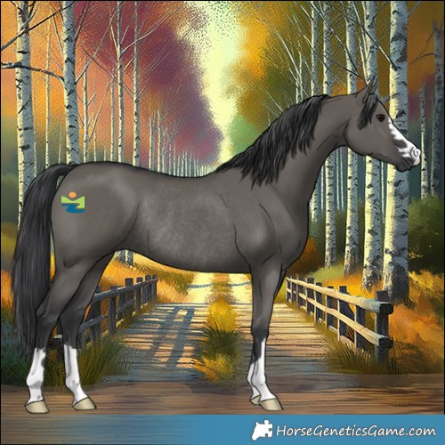Horse Color:Grullo Rabicano 