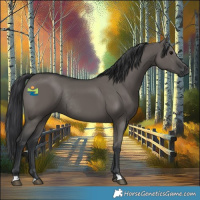 Horse Color:Grullo Rabicano 