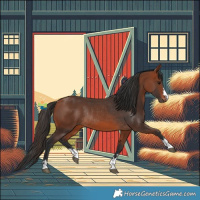 Horse Color:Bay Rabicano  and Bay Rabicano 