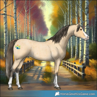 Horse Color:Buckskin Roan Splash