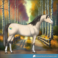 Horse Color:Buckskin Roan Splash