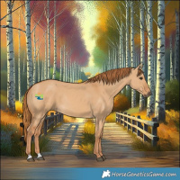 Horse Color:Red Dun Rabicano 
