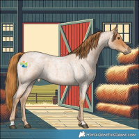 Horse Color:Red Roan Rabicano 