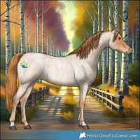 Horse Color:Red Roan Rabicano 