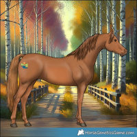 Horse Color:Chestnut Rabicano
