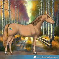 Horse Color:Chestnut Rabicano 