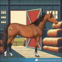 Horse Color:Bay Rabicano 