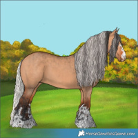 Horse Color:Bay Dun and Silver Bay Dun