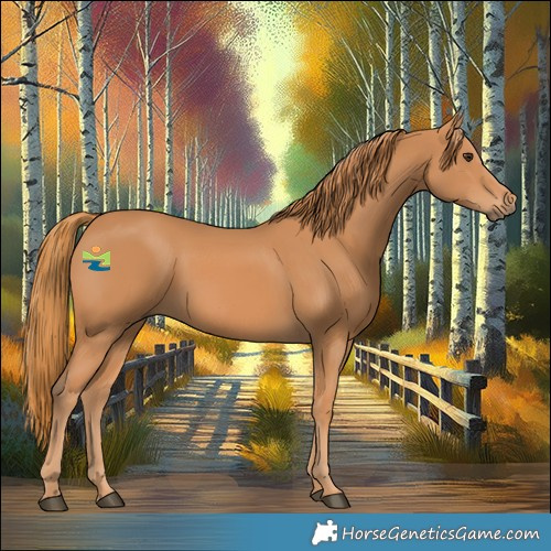 Horse Color:Chestnut Rabicano 