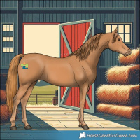 Horse Color:Chestnut Rabicano 