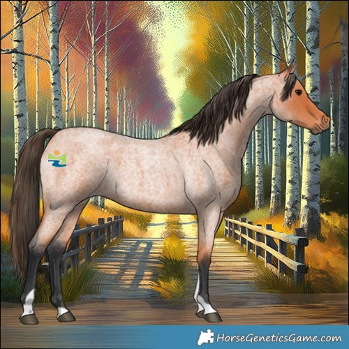 Horse Color:Bay Roan Tobiano 