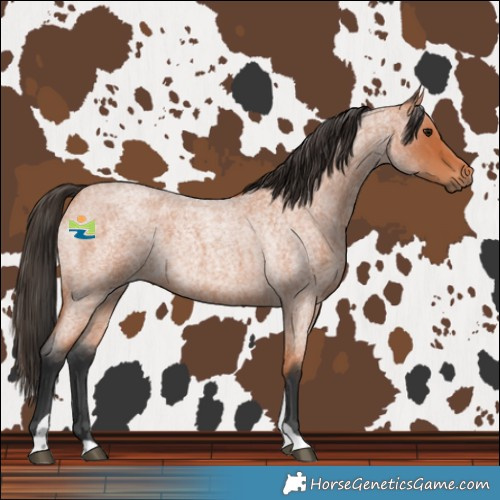 Horse Color:Bay Roan Tobiano 