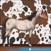 Horse Color:Bay Roan Tobiano 