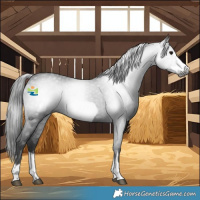 Horse Color:Gray Black Frame 