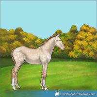 Horse Color:Red Dun Ice 