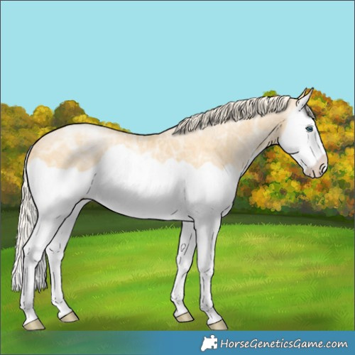 Horse Color:Palomino Ice Pearl Splash