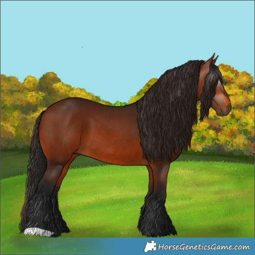 Horse Color:Gray Bay 