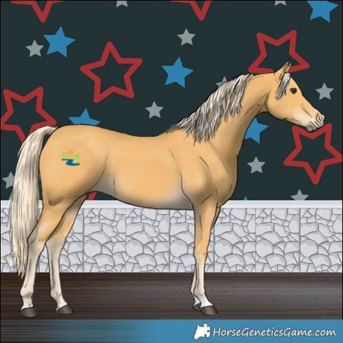 Horse Color:Palomino 
