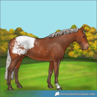 Horse Color:Silver Bay Snowcap 