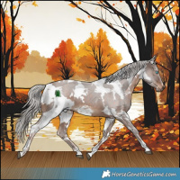 Horse Color:White Spotted Silver Brown Harlequin Merle Tobiano