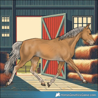 Horse Color:Palomino 