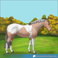 Horse Color:Bay Tobiano Snowcap 