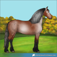 Horse Color:Gray Bay