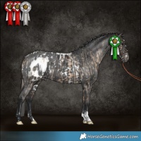Horse Color:Brown Dun Skewed Appaloosa  and Black Skewed Appaloosa 