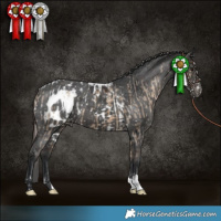 Horse Color:Brown Dun Skewed LP Spotted  and Black Skewed LP Spotted 