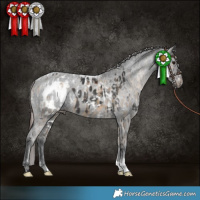 Horse Color:Brown Dun Skewed Appaloosa  and Black Skewed Appaloosa 
