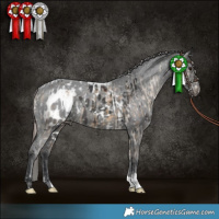Horse Color:Brown Dun Skewed Appaloosa and Black Skewed Appaloosa