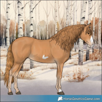 Horse Color:Chestnut Frame 