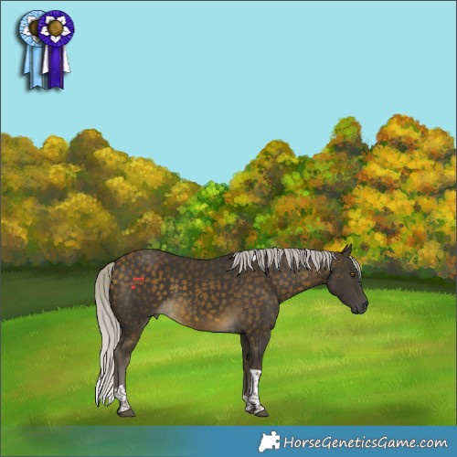 Horse Color:Silver Buckskin Tobiano Rabicano 