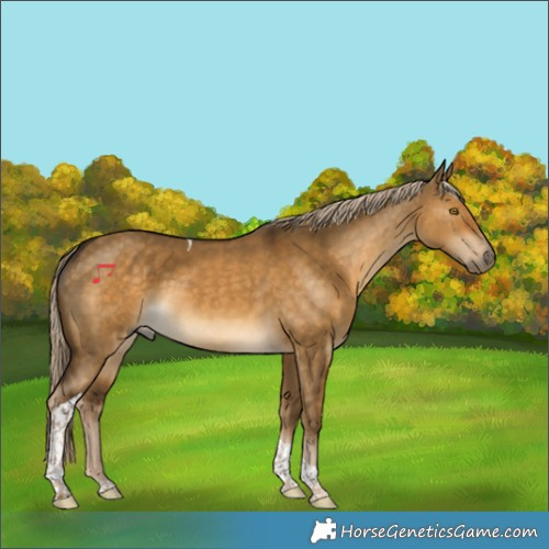 Horse Color:Chocolate Palomino Dun Tobiano 