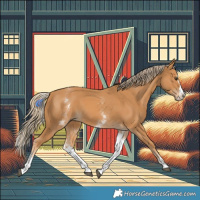 Horse Color:White Spotted Chestnut Splash 