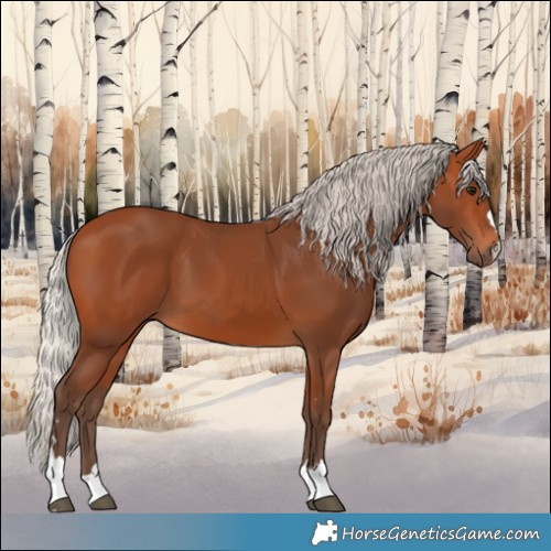 Horse Color:Silver Bay 