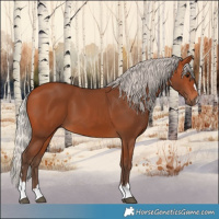 Horse Color:Silver Bay