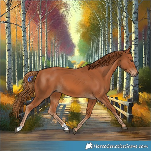Horse Color:Chestnut Rabicano 