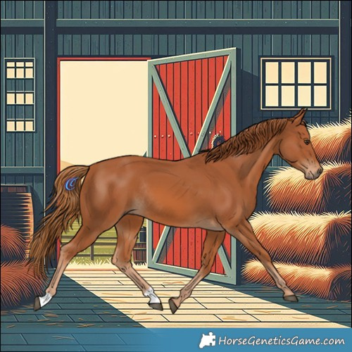 Horse Color:Chestnut Rabicano 