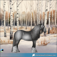Horse Color:Powder White Gray Liver Chestnut Tobiano